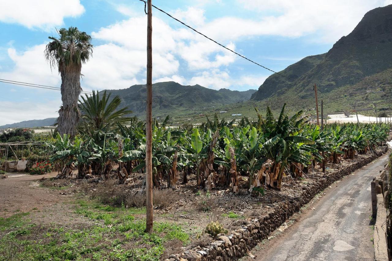 Casa El Cardon B2 Villa Buenavista Del Norte Eksteriør bilde